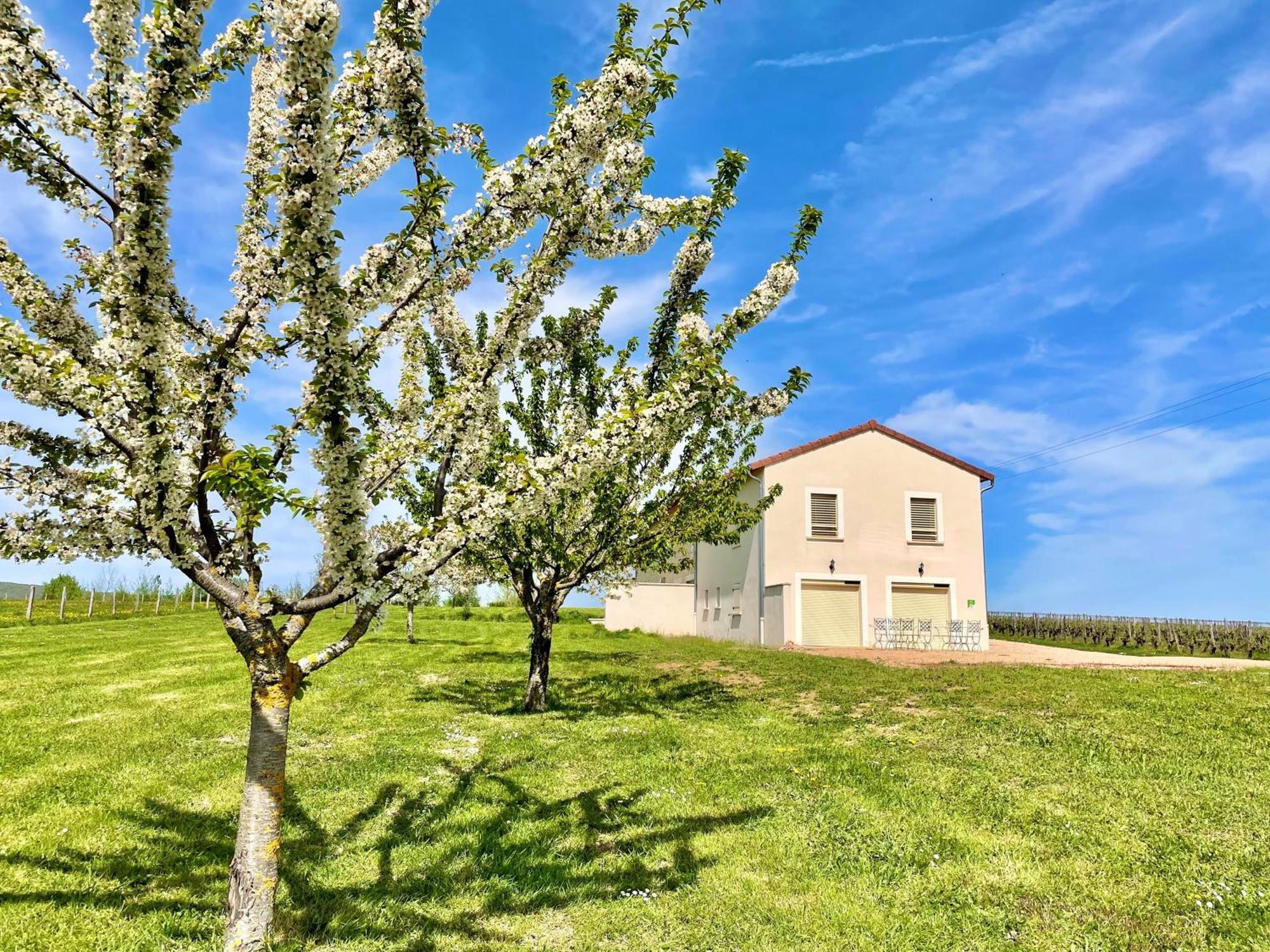 La maison du Négociant Lugny Extérieur photo